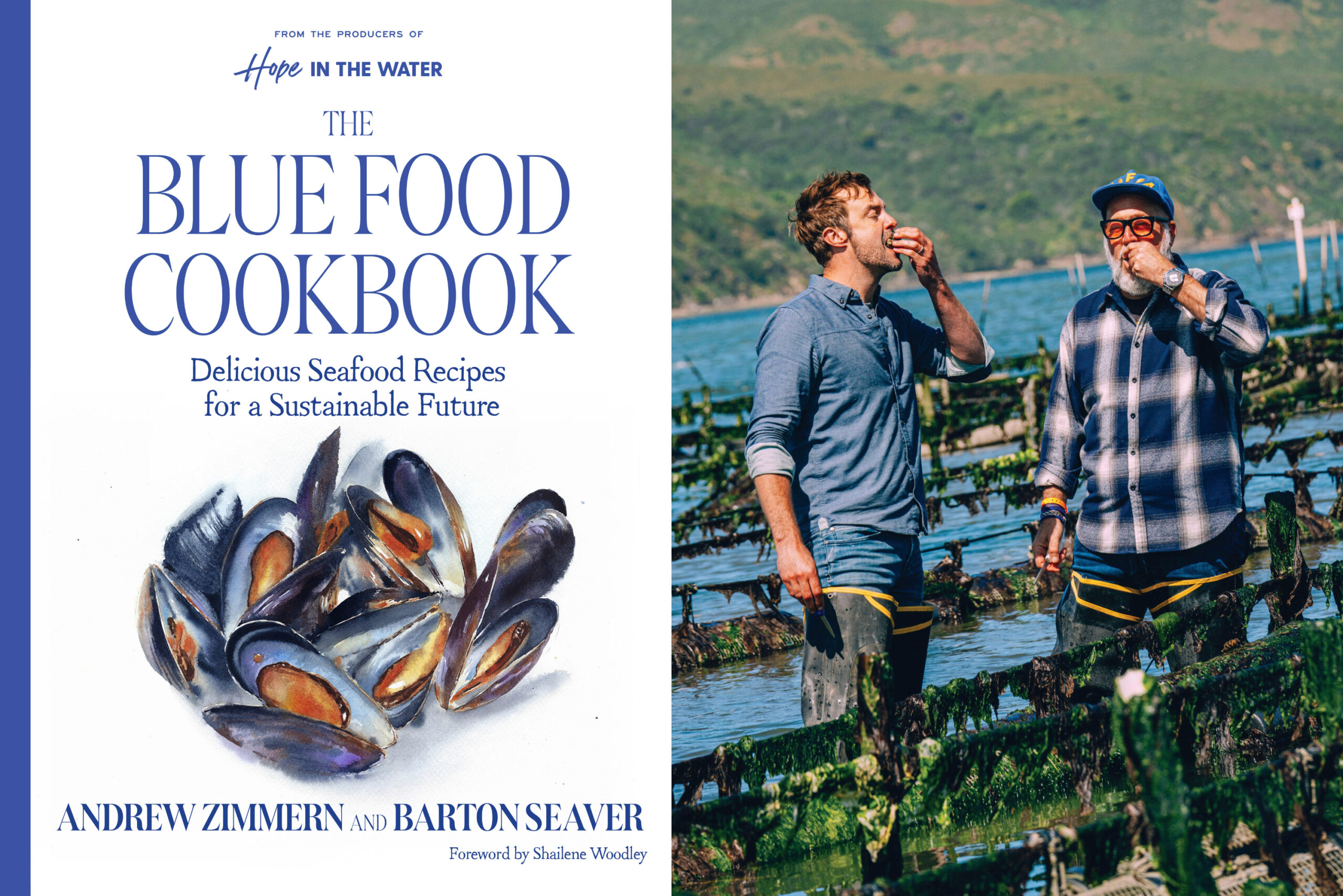 Blue Food' cookbook champions seafood for any meal | News, Sports